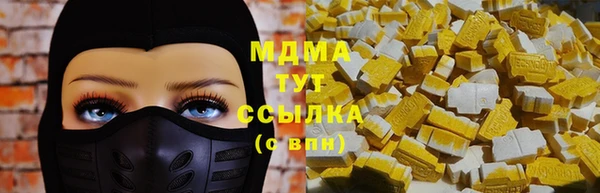 шишки Белокуриха