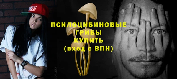шишки Белокуриха