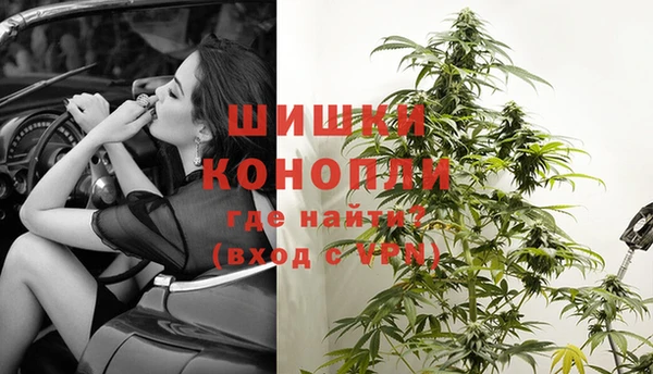 spice Беломорск