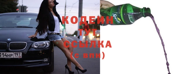 шишки Белокуриха