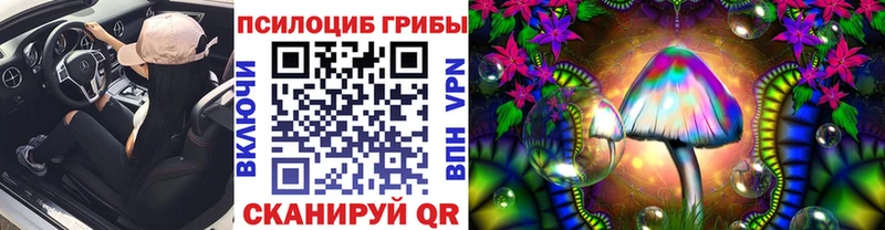 как найти закладки  ссылка на мегу ссылка  Псилоцибиновые грибы Psilocybine cubensis  Богданович 